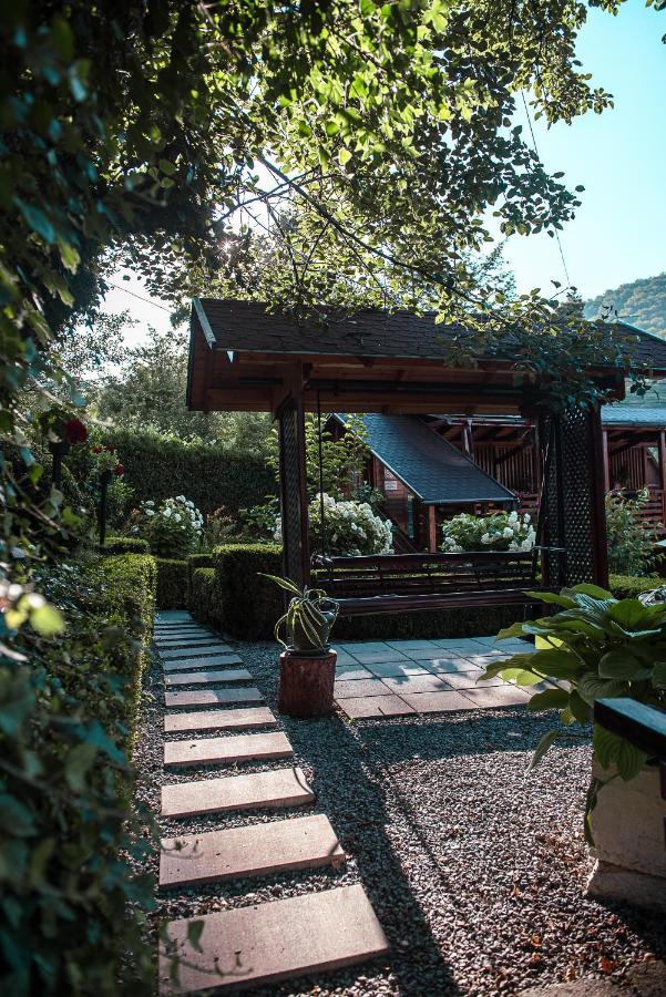 Casa Edy Hotel Sovata Exterior photo